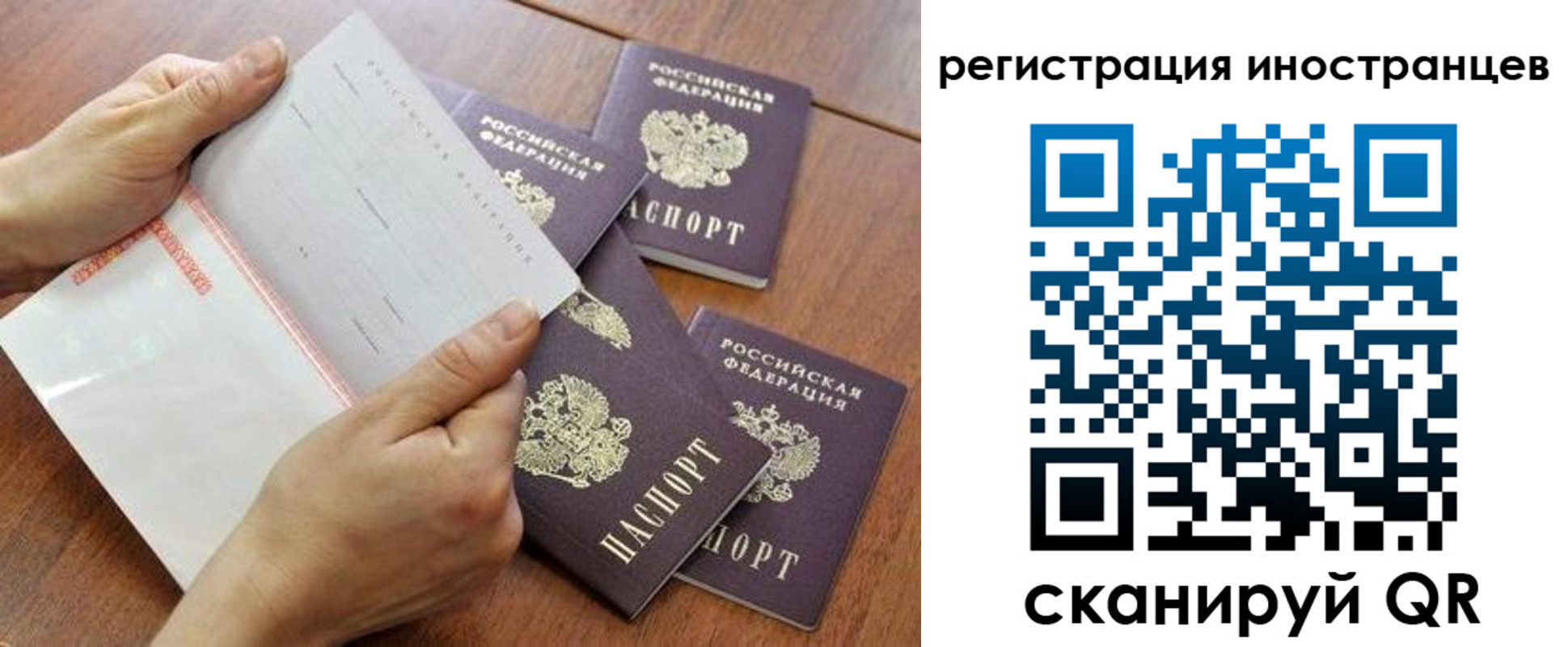прописка поиск в Новосибирской области
